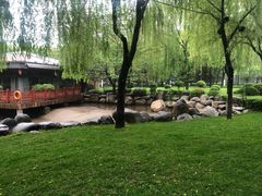 -唐城墙遗址公园