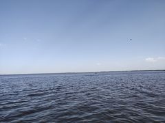 -哈素海