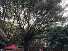 -宋少帝陵