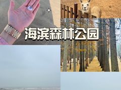 -巧克力渔家.小船海鲜胶东菜(万平口店)