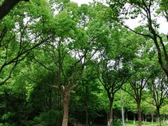 -东钱湖小普陀景区