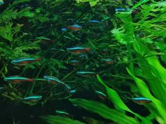 -上海海洋水族馆
