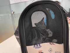 -宠颐生中康贝怡动物医院
