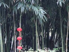 -个园