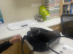 -爱佳宠物中心医院24H·CT·骨外科·猫专科(瑶海万达店)