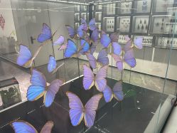 -酷嗒动物文化乐园(cutezoo西溪乐天城店)