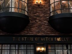 -雪灵魔法世界SHELLY’S TAROT(大良桂畔里店)