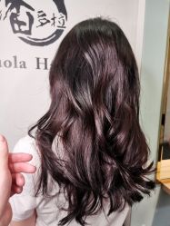 -东方麒麟·潘多拉SALON