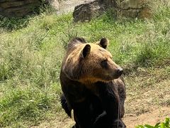 -杭州野生动物世界