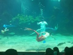 -石家庄海洋公园