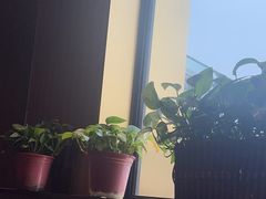 -南门四季铜锅涮肉(大屯·北苑店)