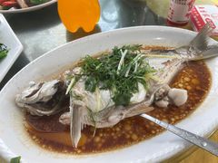 -水上鱼当家