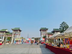 -王借岗森林公园