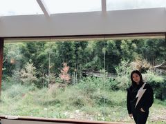 中餐厅-南昆山十字水生态度假村