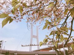 -南浦大桥长途旅游客运站