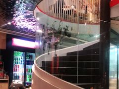-为什么牛潮汕牛肉火锅(中信广场店)