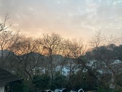 -青桃餐厅