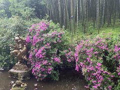 -杭州黄龙洞