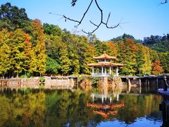 -深圳仙湖植物园