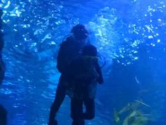 -芜湖新华联大白鲸海洋公园