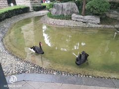 -西安曲江寒窑遗址公园