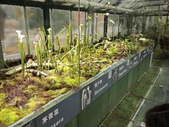 -国家植物园南园