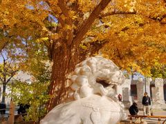 -北京石刻艺术博物馆(五塔寺)