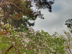 -长春市南湖公园