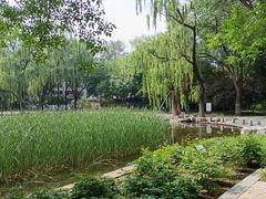 -玲珑塔公园