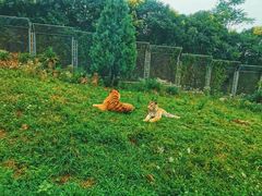 -西安秦岭野生动物园