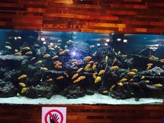-水一方现烤鱿鱼丝大连特产(高新苏宁百货店)