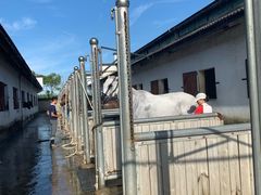 -松声马术俱乐部