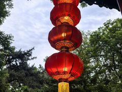 -白家大院·王府宫廷菜(苏州街店)