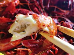 -古田会·肥肠鸡(古田店)