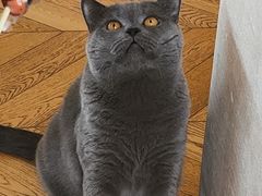 -Me Coffee下午茶艺术空间