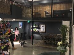 -百好乐宠物友好餐厅(朝外大街店)