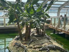 -石家庄市动物园