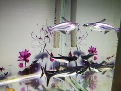 -秦皇岛新澳海底世界