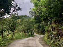 -梧桐山风景名胜区