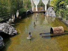 -观宴·品质赣菜(高新大道店)