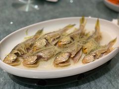 -花城苑广府菜(侨鑫店)