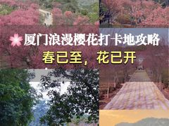 -狐尾山公园