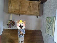 -金山农民画村-枫泾波兰倒置屋
