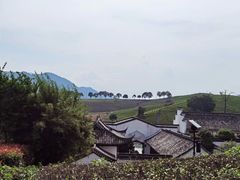 -帐篷客·溪龙茶谷度假酒店