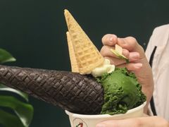 -鹤茶野所(上海首店)