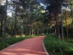 -长春市南湖公园