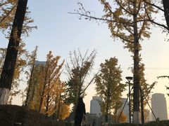 -两江幸福广场