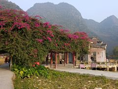 -靖西鹅泉风景区