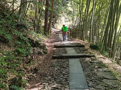 -东天目山风景区