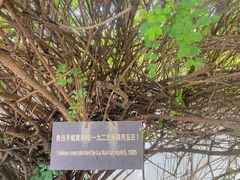 -北京鲁迅博物馆(北京新文化运动纪念馆鲁博馆区)